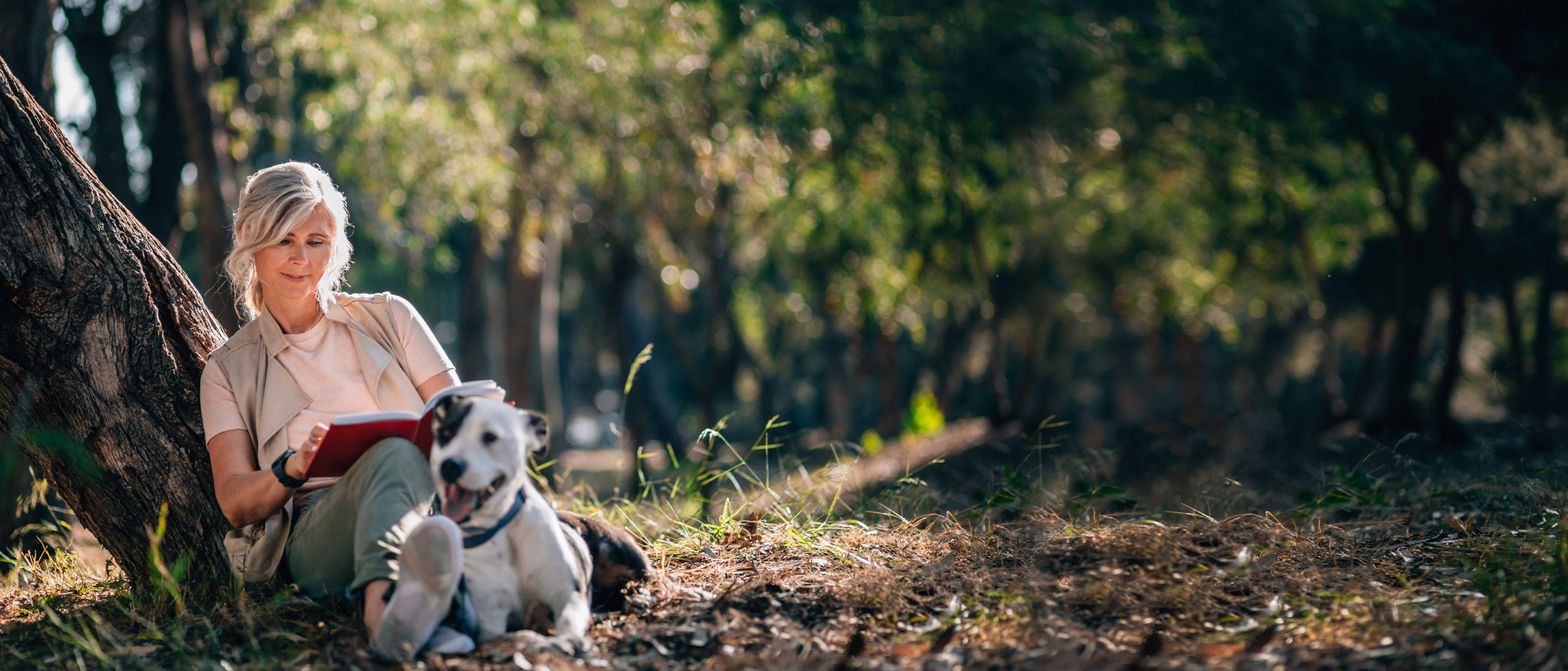 Eine Frau, die mit einem Hund im Wald sitzt