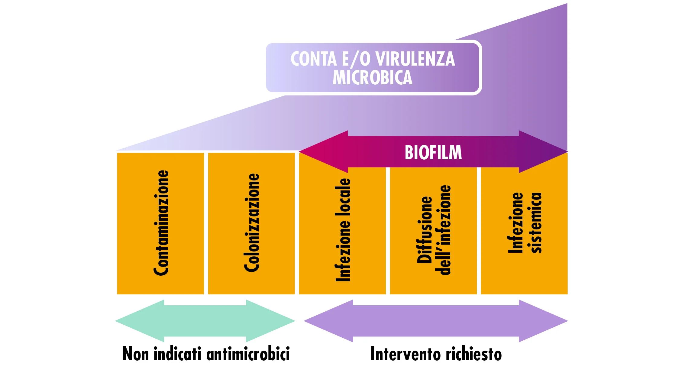 di diagrammi, schematico