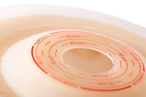 ein Teller mit einem kreisförmigen Gegenstand darauf