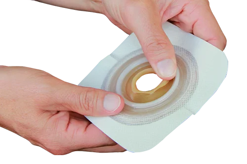 una persona sosteniendo un rollo de papel higiénico