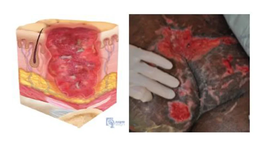 Un collage de rocas de diferentes colores