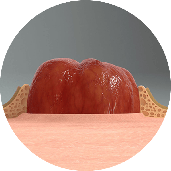 Zbliżenie na biało-czerwony obiekt